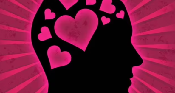 O que significa cérebro amoroso