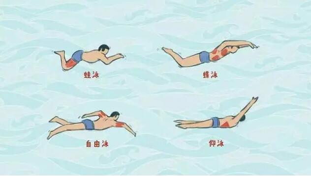 Quais são os diferentes métodos de natação?
