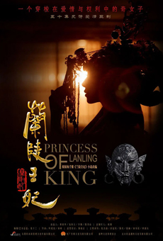 《兰陵王妃》高清海报图片