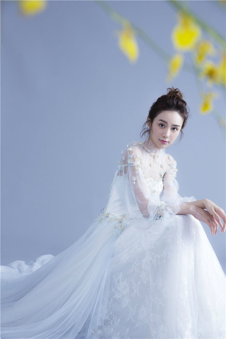 郑合惠子纯色蕾丝婚纱花嫁写真图片