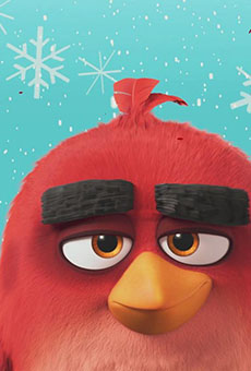 3D动画喜剧电影《愤怒的小鸟》剧照图片