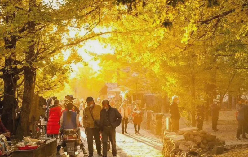 云南腾冲的秋天高清风景图片