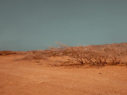 无边无际的大沙漠高清风景图片