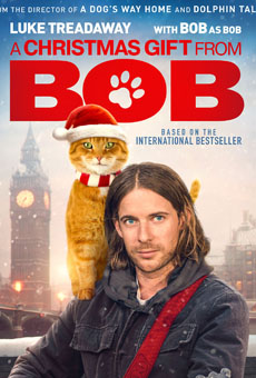 电影《流浪猫鲍勃2:鲍勃的礼物》剧照图片