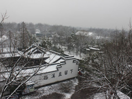 下雪的杭州西溪湿地高清风景图片