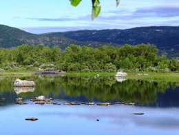 绿意盎然的欧洲挪威高清风景图片