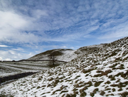 英格兰约克郡野外雪景高清风景图片