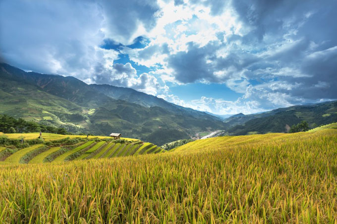 广袤无边的农田高清风景图片